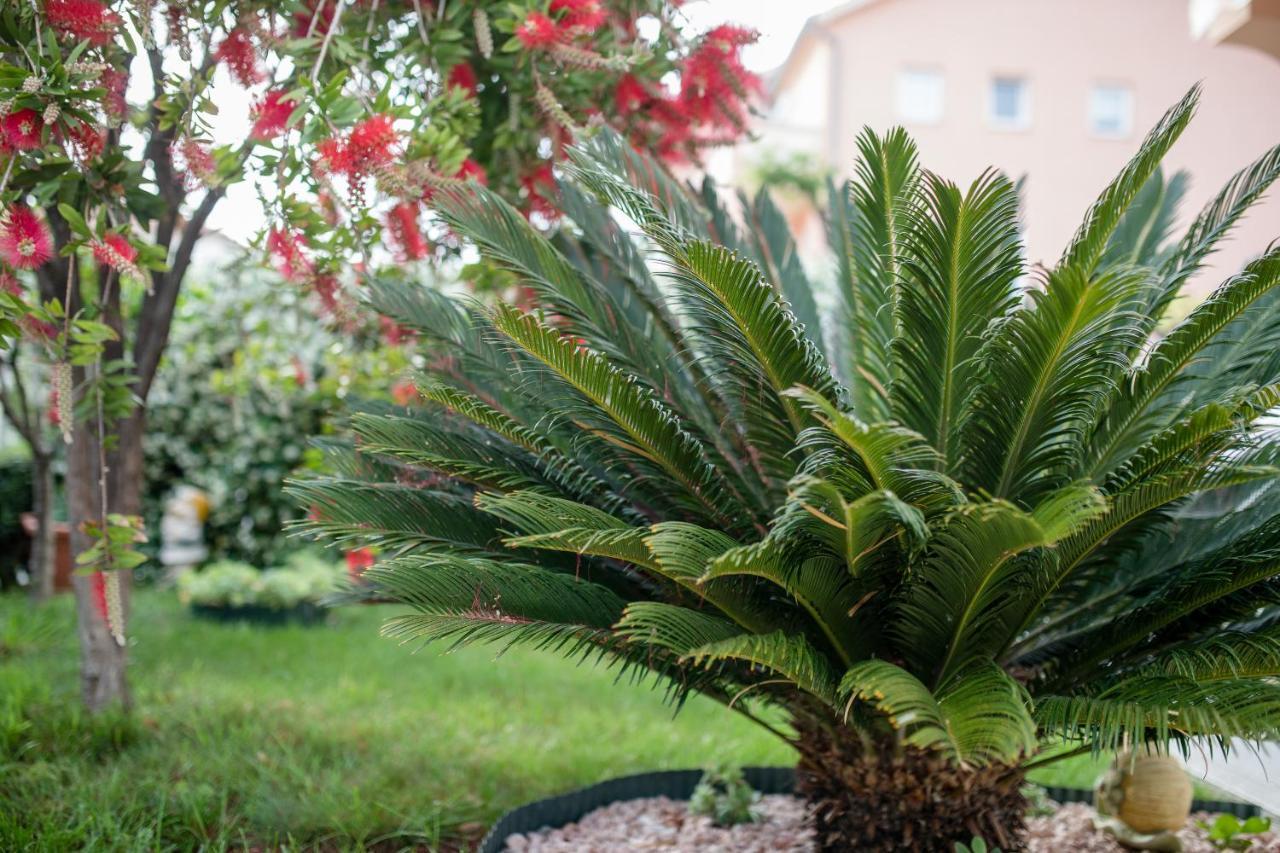 Apartmani Marica Beg Palit 外观 照片